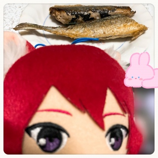 🐟