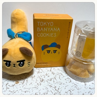 �|�b�J������������