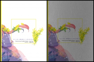 �p�����V���o�[