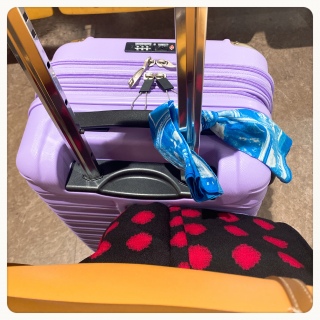 �A�x�����̋��|