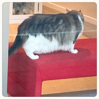 �ۂĂۂĂ��Ă�